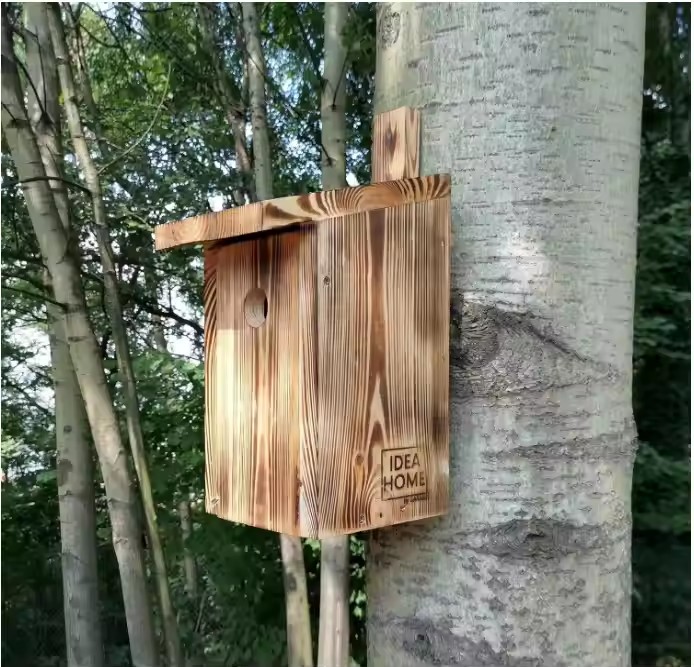 Outdoors Hanging Bird House Burnt Wooden Birdhouse for Painting - Sheltered Warm Place for Small Humming Bird House