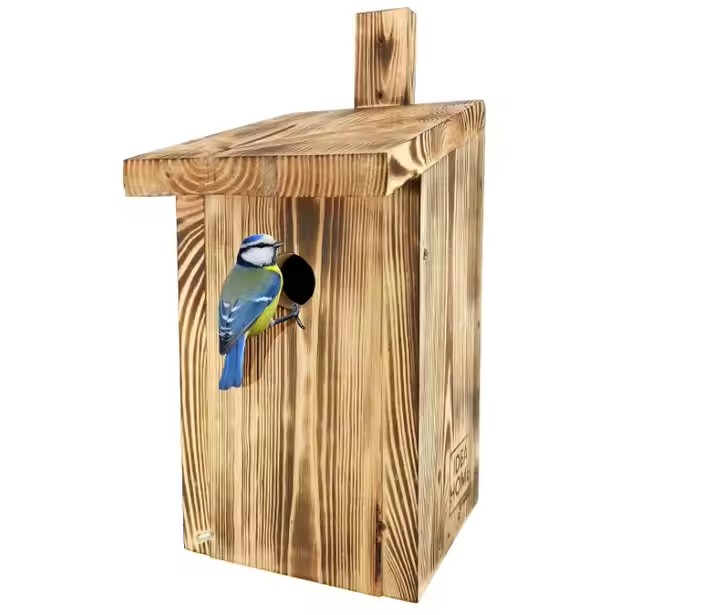 Outdoors Hanging Bird House Burnt Wooden Birdhouse for Painting - Sheltered Warm Place for Small Humming Bird House